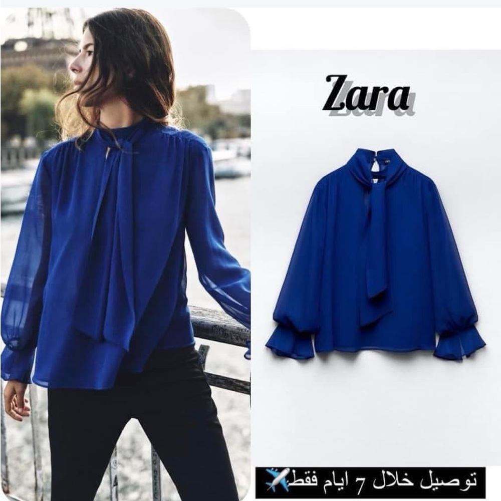 Zara chiffon mock neck blouse
